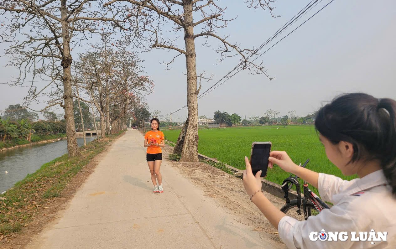 Einheimische checken auf der wunderschönen Reisblumenstraße außerhalb von Hanoi ein, Foto 11