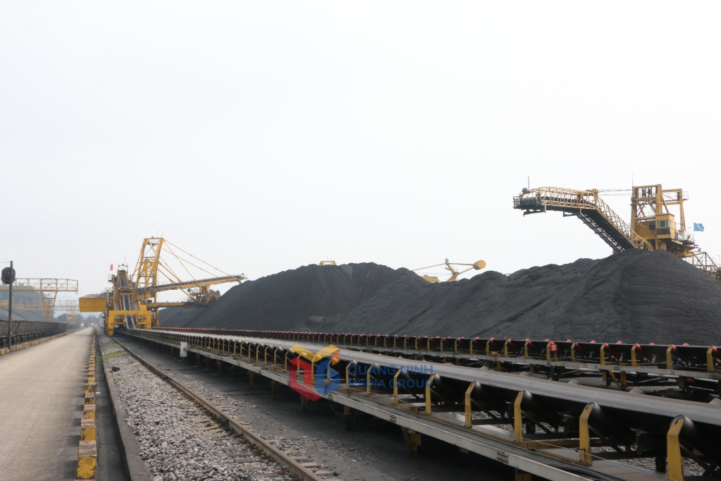 تعمل شركة Cua Ong Coal Selection Company حاليًا على الترويج لإمدادات الفحم للعملاء.