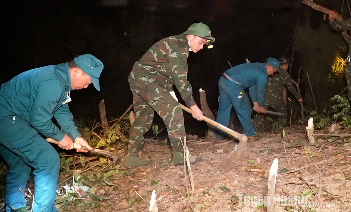 Das Volkskomitee der Provinz Tuyen Quang ordnete die Stärkung der Waldbewirtschaftung und des Waldschutzes an. Waldbrandvorsorge und -bekämpfung