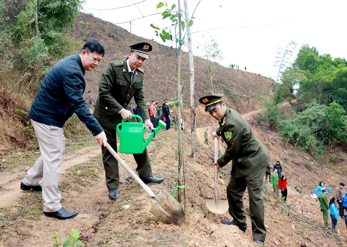 2025년 나무심기축제 기간 동안 140만 그루 이상의 나무가 심어졌습니다.