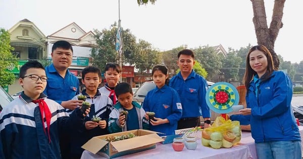 Jugendliche aus Ha Tinh unterstützen gemeinsam den ländlichen Bau