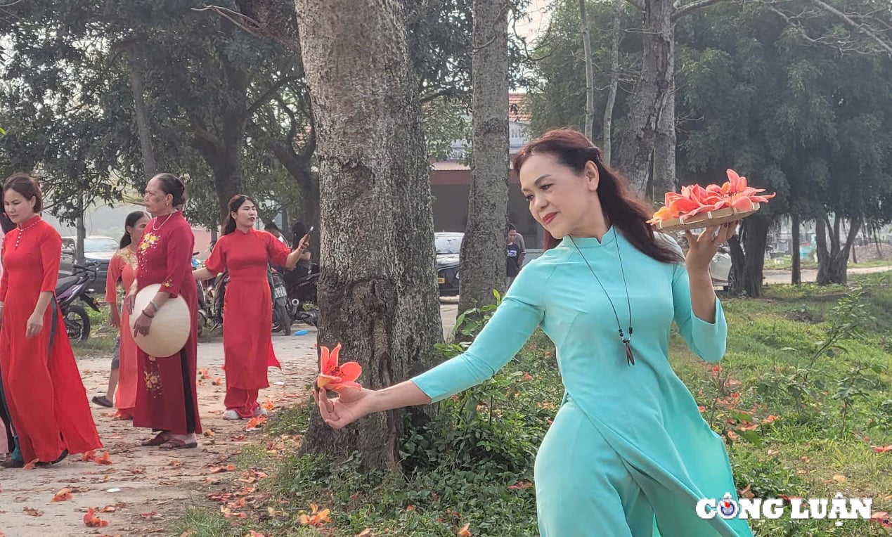 Einheimische checken auf der wunderschönen Reisblumenstraße außerhalb von Hanoi ein, Foto 7