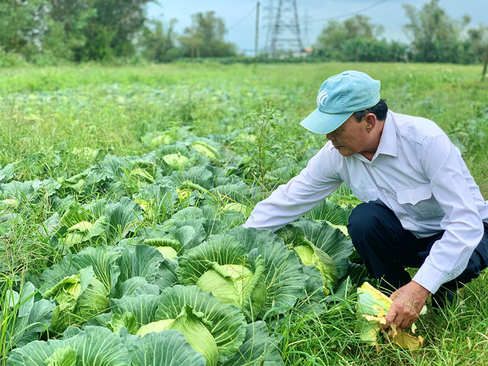 Cựu chiến binh làm kinh tế giỏi