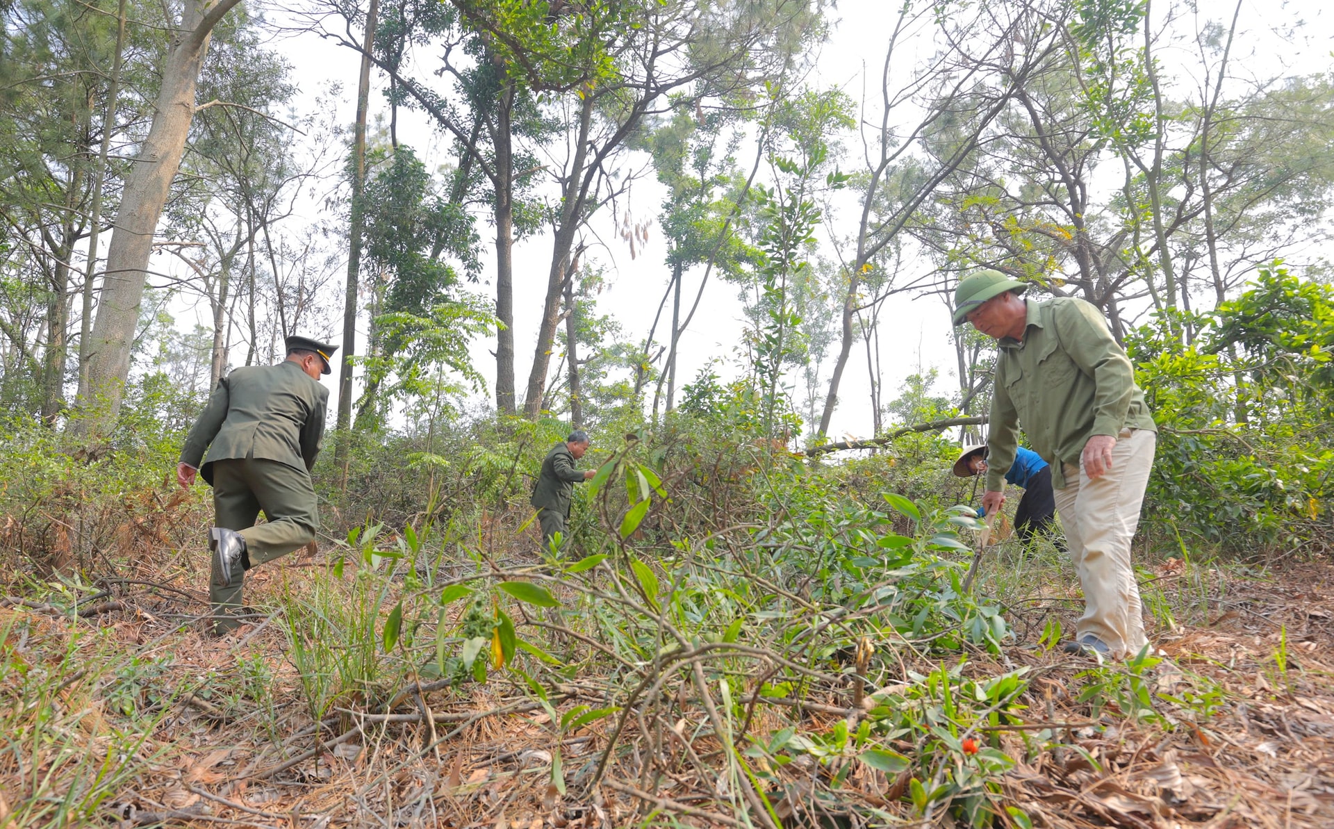 In Hai Duong besteht die Gefahr schwerer Waldbrände.