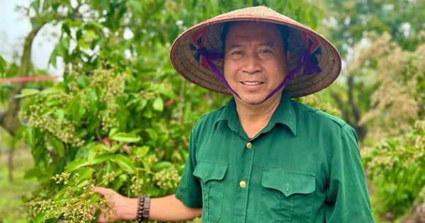 Un milliardaire de Hung Yen est un agriculteur qui cultive du litchi géant, un fruit de spécialité, vendu 500 000 VND/kg.