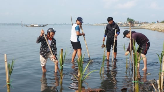 ប្រគល់​កូន​ឈើ​ជាង​១៥.០០០​ដើម​សម្រាប់​ស្តារ​ព្រៃឈើ