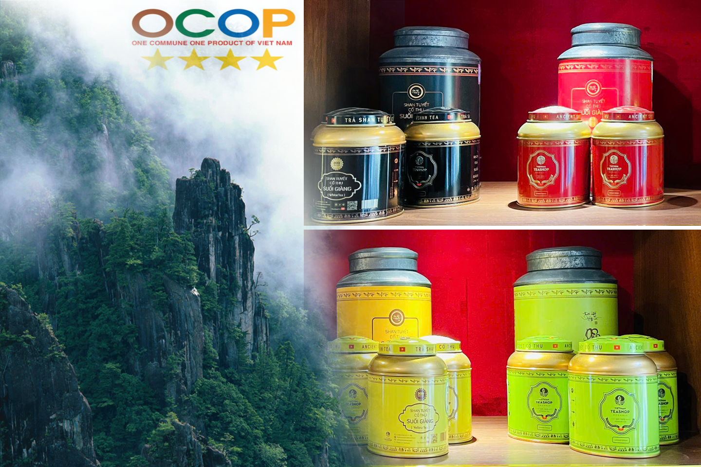 Yen Bai : 04 produits reconnus OCOP 4 étoiles