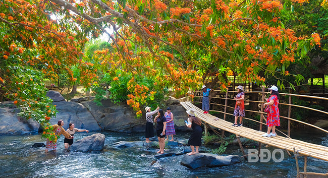 Disfrute del arroyo Ta Ma en la temporada de flores de Trang.