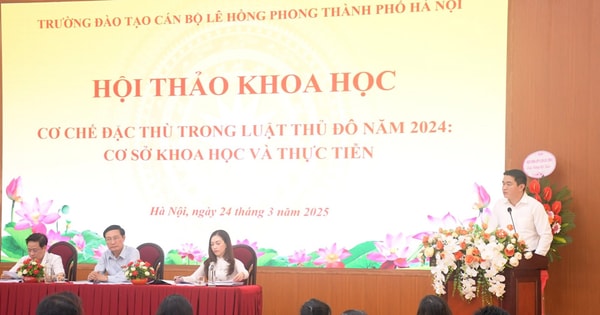 Tinh gọn bộ máy, thu hút nhân tài