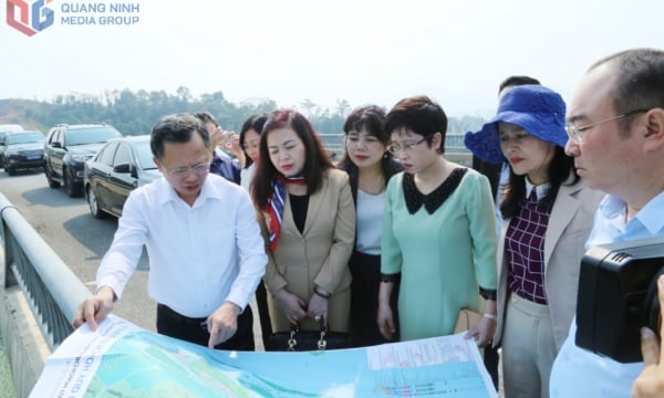 The National Assembly's Economic and Financial Committee's survey delegation works in Quang Ninh