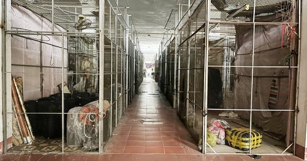 Nearly 200 kiosks at Ha Tinh City market closed, hung signs for long-term lease