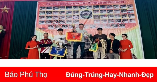 Le 1er concours de beauté des poulets d'ornement de Tan Chau de la Coupe Hung Vuong