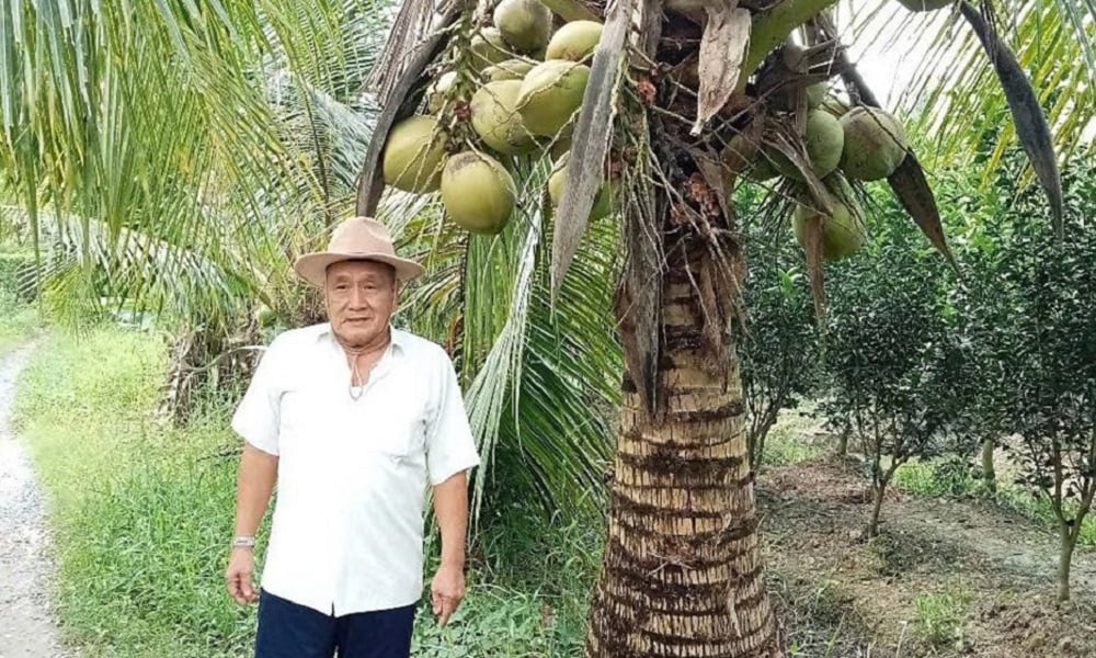 Le vétéran Phan Thanh Cao s'occupe activement du développement économique