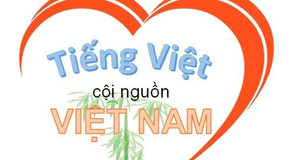 Preserving the Vietnamese language in the integration period