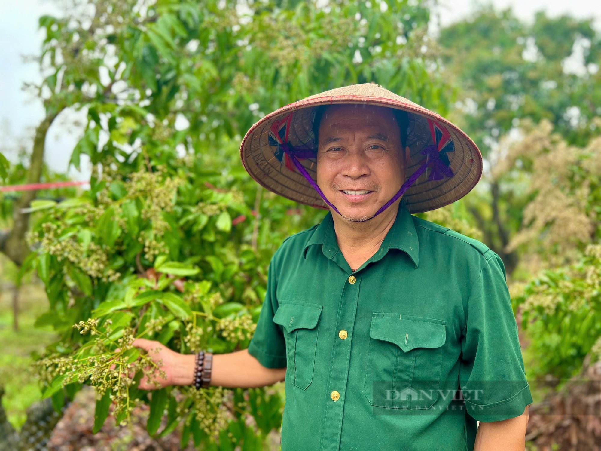 In Hung Yen, there is a billionaire farmer who became famous thanks to growing specialty fruit trees that money cannot buy - Photo 2.