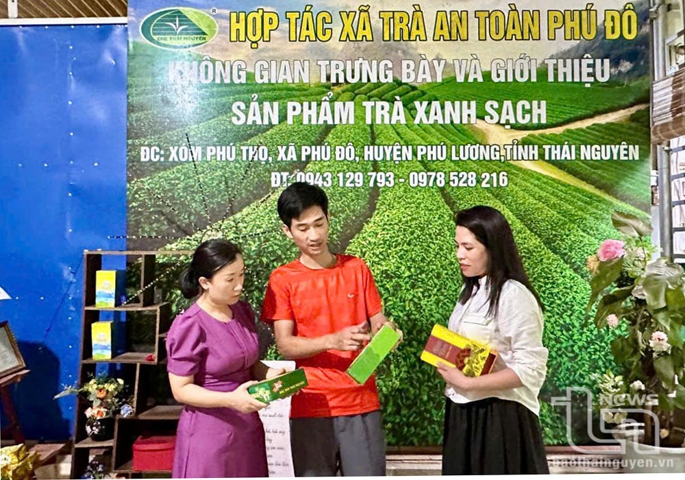 Another Thai Nguyen tea product won a high prize at the international tea competition