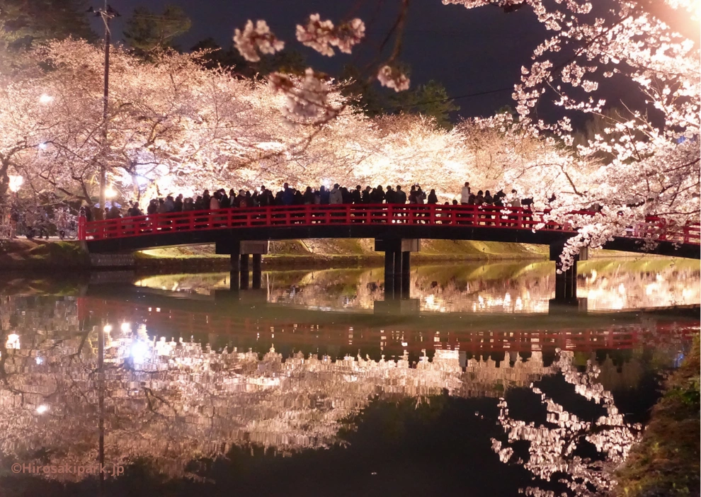 3 nuevos destinos para ver hermosos cerezos en flor en Japón