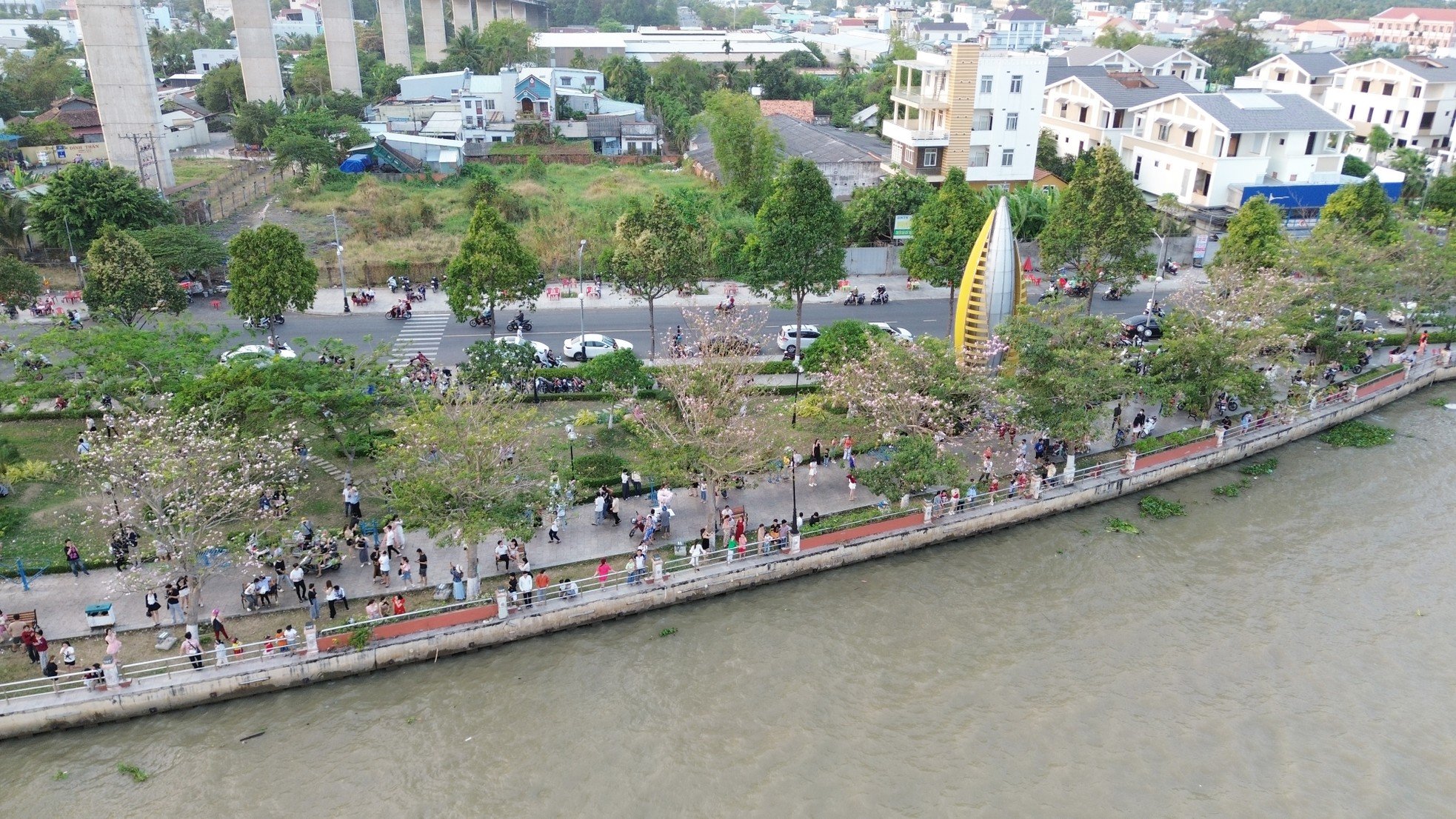 Nahaufnahme von rosa Trompetenblumenreihen entlang des Tien-Flusses, beliebtes Internetfoto 1