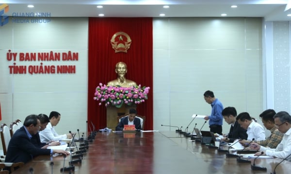 Provincial People's Committee held a meeting to review the results of resolving voters' petitions