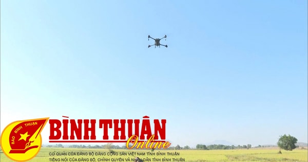 Binh Thuan ជាមួយនឹងដំណោះស្រាយឈានមុខគេជាបន្តបន្ទាប់សម្រាប់ការអភិវឌ្ឍន៍វិទ្យាសាស្ត្រ និងបច្ចេកវិទ្យា