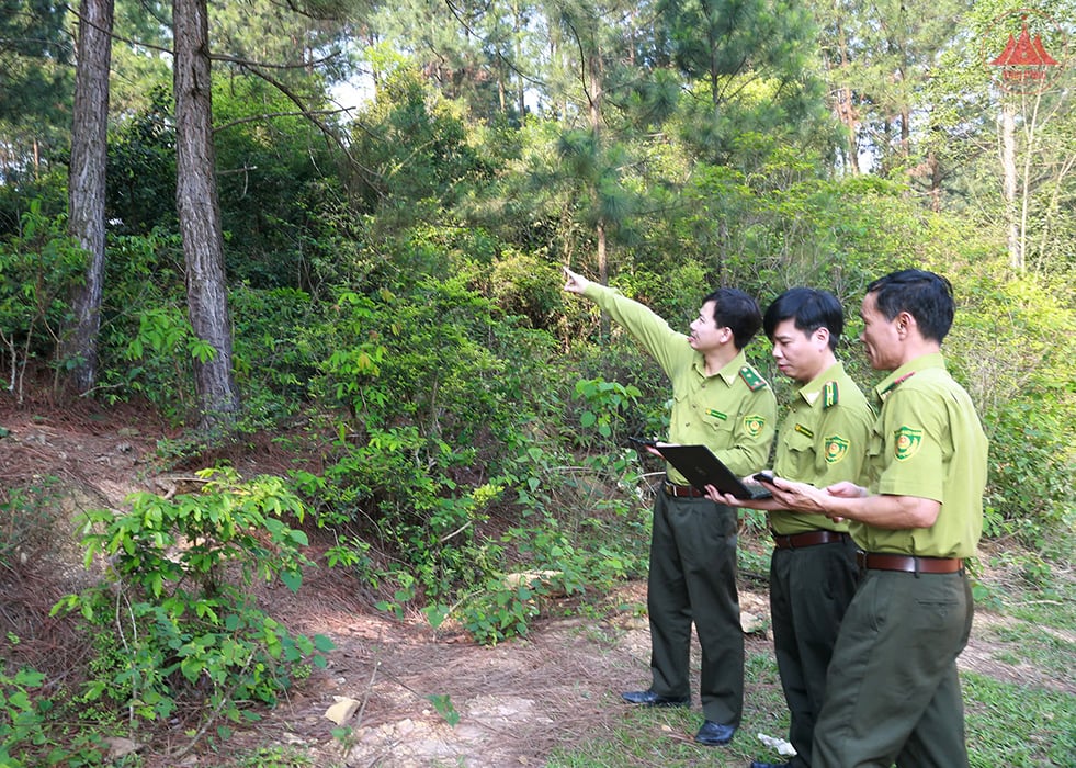 Đảm bảo các phương án phòng cháy, chữa cháy rừng