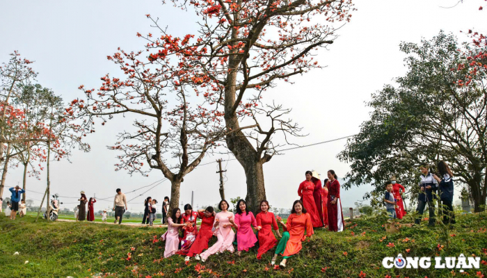 Les gens affluent pour « s'enregistrer » dans la belle rue des fleurs de coton à la périphérie de Hanoi