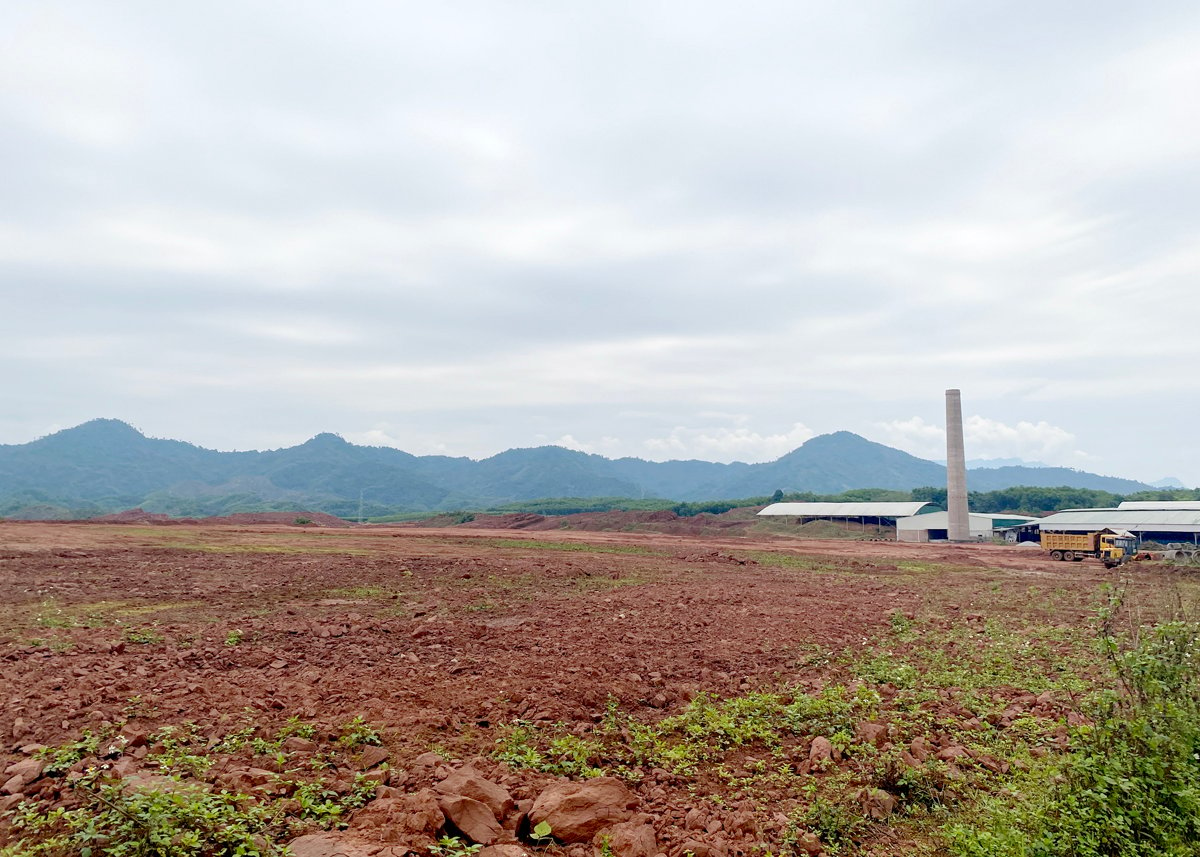 Investing in a wood processing factory with a capacity of 80,000 m3/year in Tan Bac Industrial Park