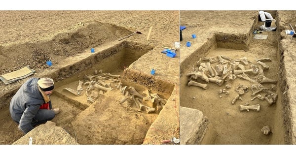 25,000-year-old cemetery of giant monsters discovered