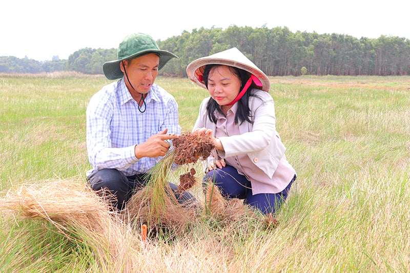 Active recovery of Tram Chim National Park ecosystem