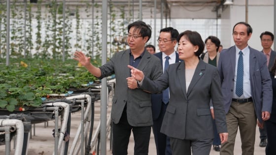 Smart Farm: Eine neue Richtung in der Vietnam-Korea-Kooperation