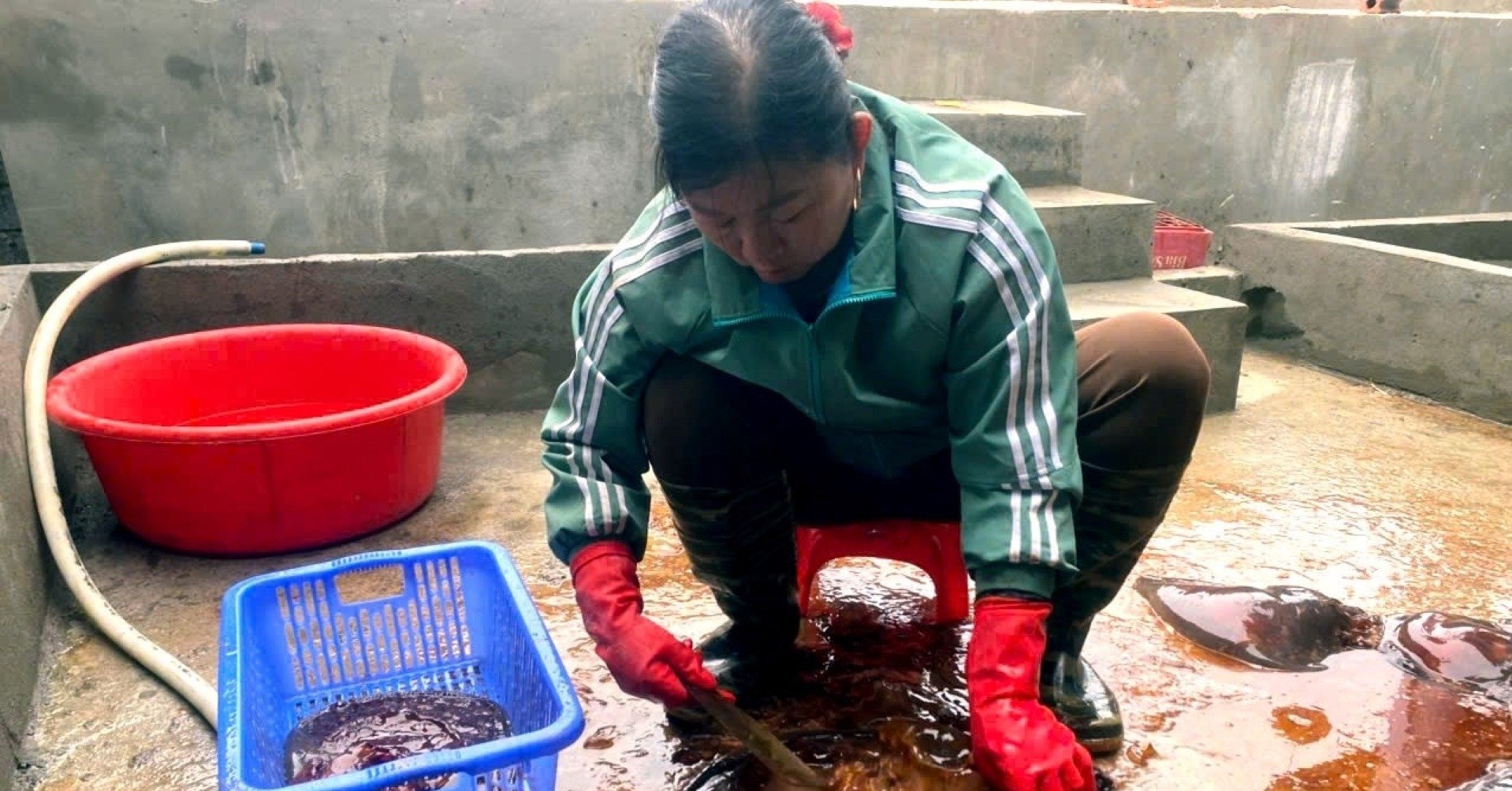 어부들은 예전에는 버려졌지만 이제는 금만큼 가치가 있는 해산물을 잡아 큰 돈을 벌었습니다.