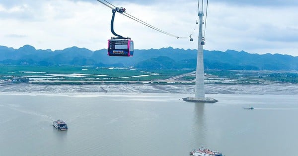 La isla de Cat Ba impulsa el turismo y la inversión gracias a una moderna red de transporte