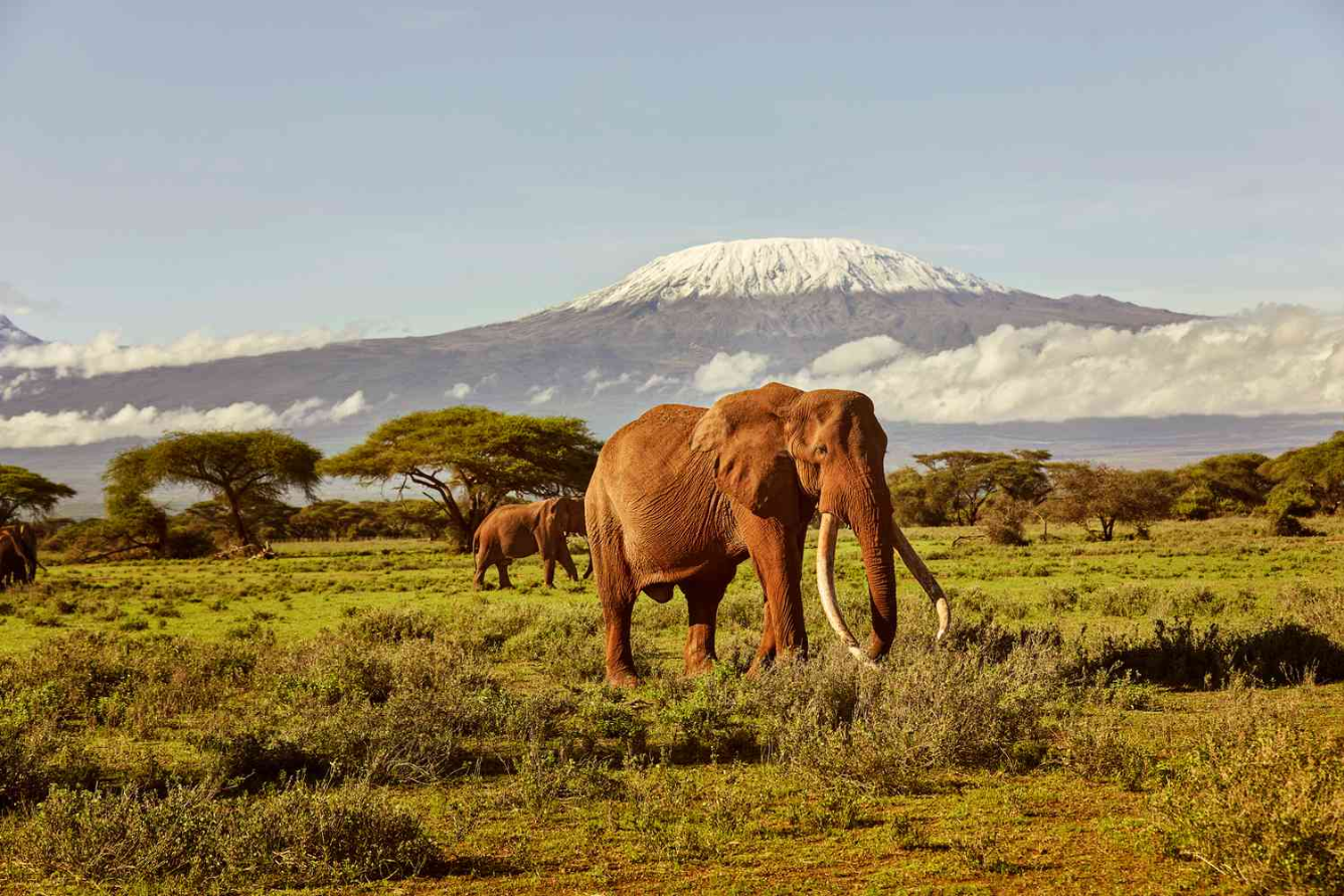 Top 10 most attractive tourist destinations in Kenya for visitors to explore