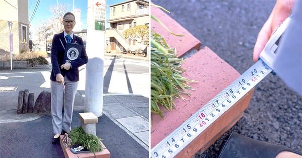 紙4枚分の幅しかないユニークな公園