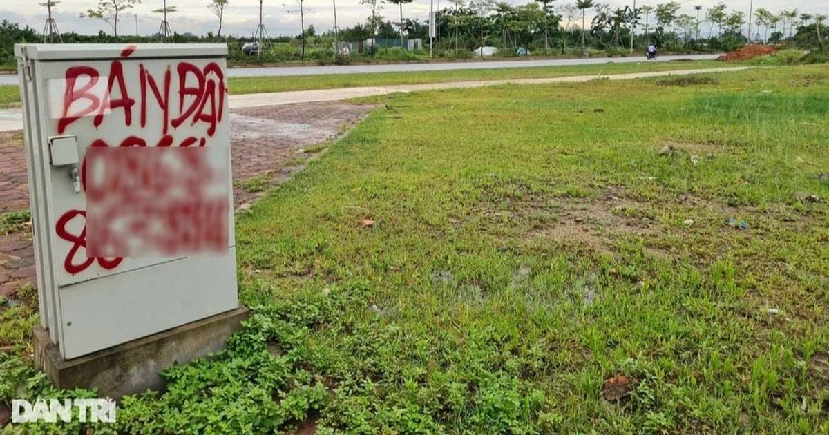 Les quartiers suburbains de Hanoi vendent massivement des terrains aux enchères