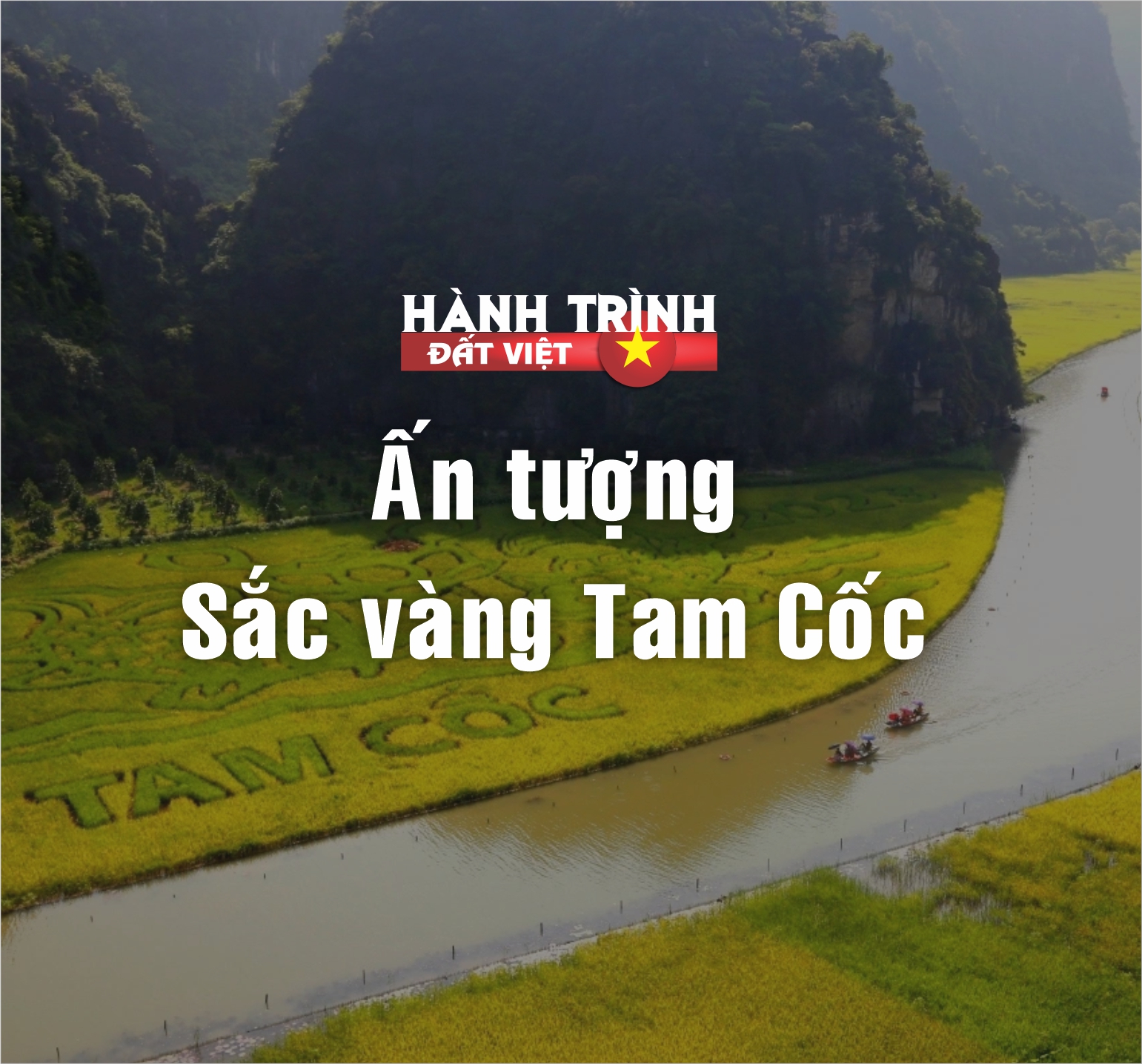 Hẹn hò với “mùa vàng” Tam Cốc