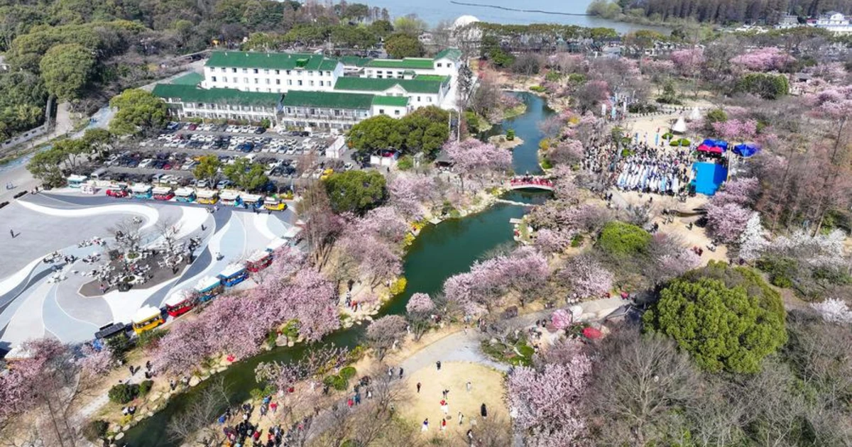 Blumensaison lockt Touristen nach China