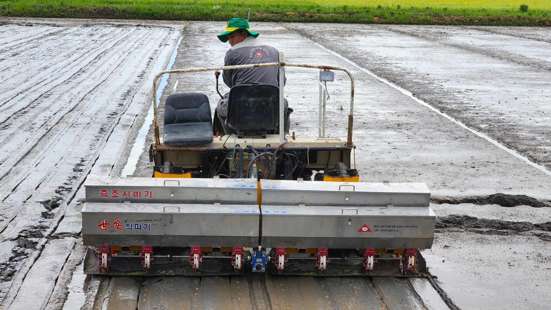 Sạ cụm - phương pháp ứng dụng cơ giới hóa đang được đánh giá cao trong sản xuất lúa ở ĐBSCL. Ảnh: Kim Anh.