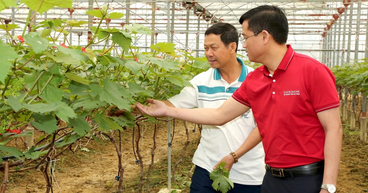 Agribank - ‘bà đỡ’ cho kinh tế tư nhân