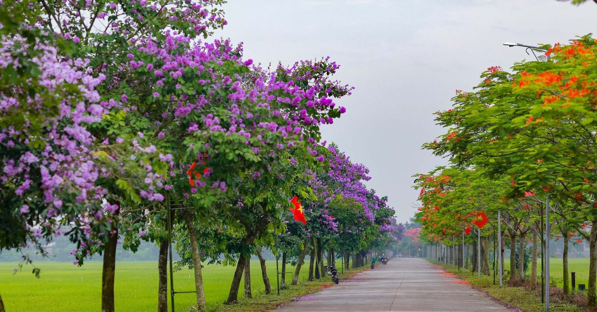 តើ​ខេត្ត​ពីរ​ណា​ដែល​ធ្លាប់​បញ្ចូល​គ្នា​ជា Hai Hung?