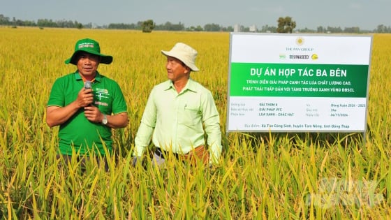 Linking rice production to reduce emissions and costs by 40-50%