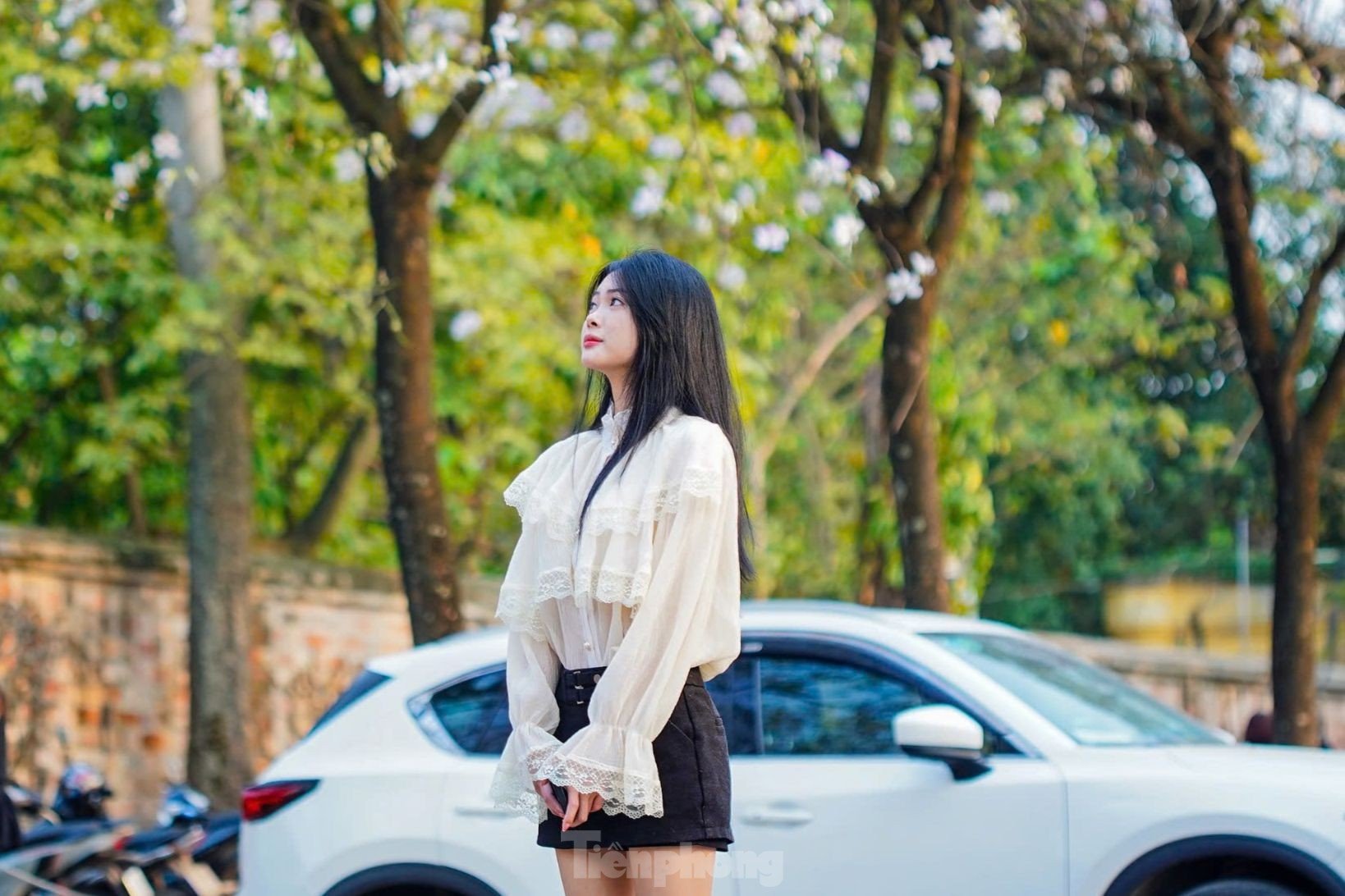 Les fleurs de Bauhinia couvrent la rue Hoang Dieu, les muses font la queue pour s'enregistrer photo 9