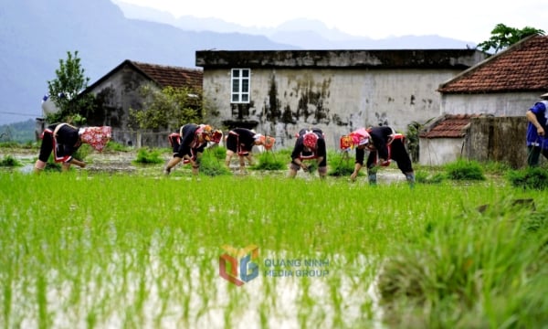 Đầu tư hạ tầng thủy lợi phục vụ sản xuất cho người dân vùng khó