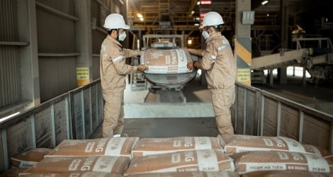 Nach der Prüfung ist der Gewinn von Vicem Ha Tien Cement (HT1) leicht gesunken