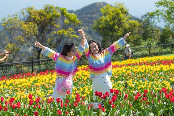 バナ春画は、旧正月の時期には観光客にとって魅力的なチェックインスポットです。