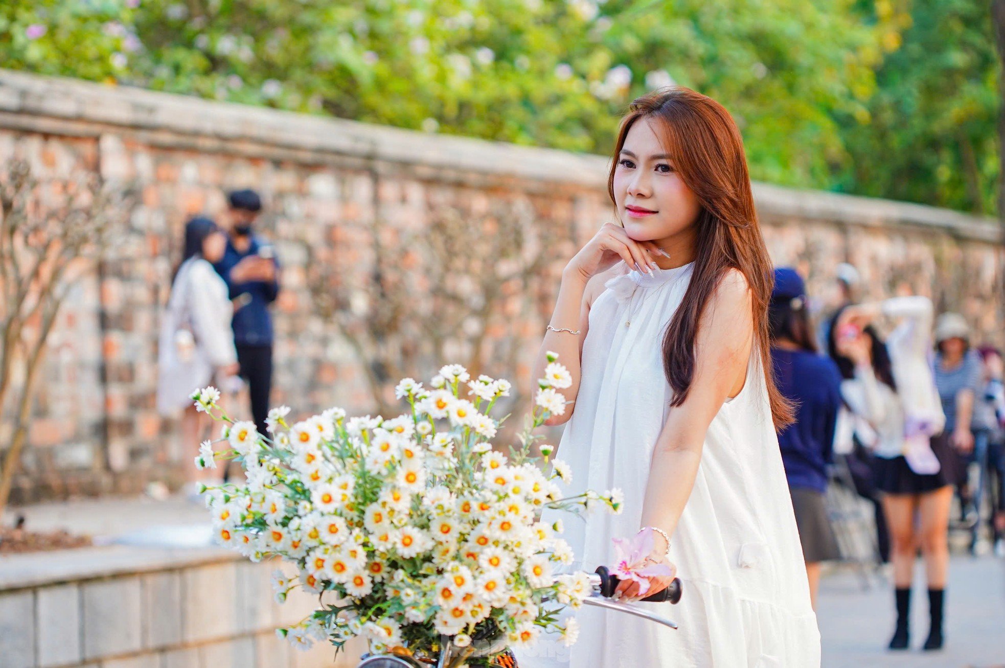 Les fleurs de Bauhinia couvrent la rue Hoang Dieu, les muses font la queue pour s'enregistrer photo 11