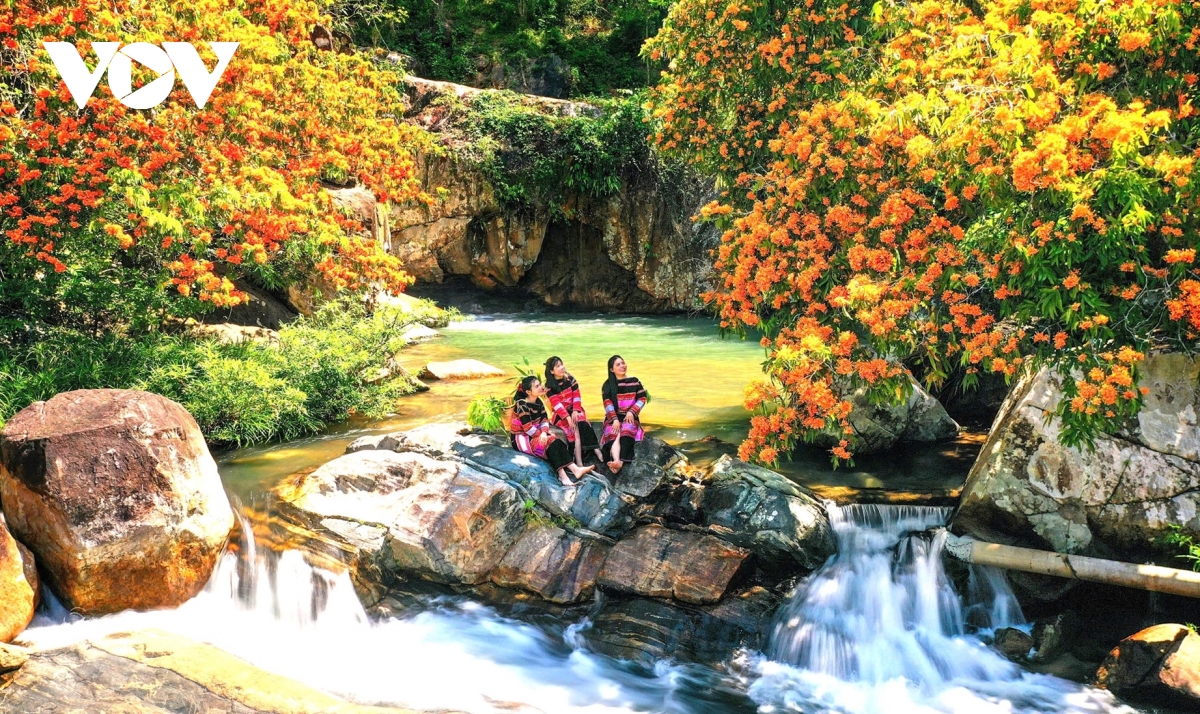ngay hoi thuong ngoan hoa trang suoi ta ma o vung cao binh Dinh hinh anh 1