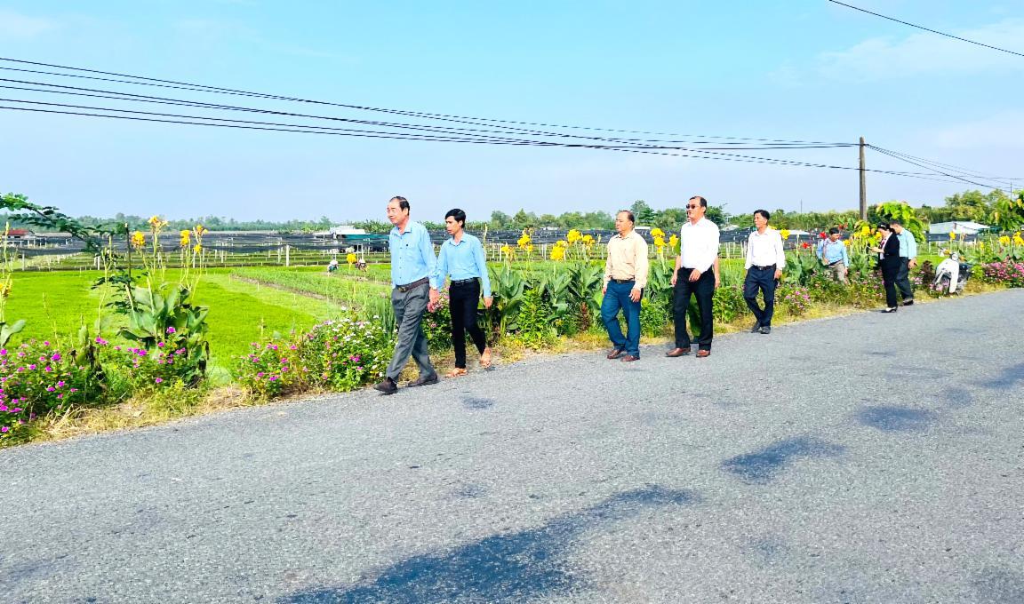 Đường hoa nông thôn mới Vĩnh Long trồng hoa chuối đỏ, hoa giấy, hoa tím tuyết đẹp như phim thế này đây - Ảnh 3.