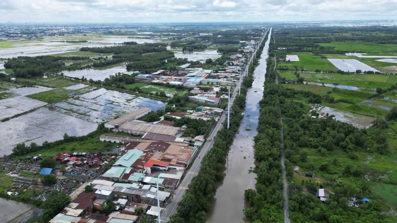 TP HCM: Dự kiến thu hồi hơn 250 ha đất làm dự án- Ảnh 1.