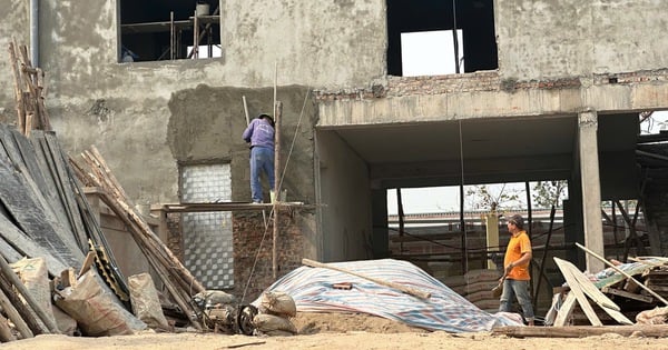 Dans le cas d'un lycée construit sans autorisation, le directeur a expliqué : « Nous étions sur le dos d'un... tigre ! »